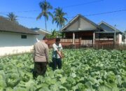 Bhabinkamtibmas Desa Masbagik Utara Sambangi Petani, Dukung Ketahanan Pangan dan Swasembada Pangan