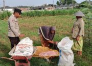 Dukung Ketahanan Pangan Nasional, Polsek Labuapi Turun Langsung Mendampingi Petani Karang Bongkot