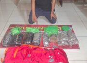 Diduga Pengedar Ganja, Seorang Pria asal Kota Mataram Ditangkap Polisi di Sumbawa Barat