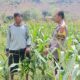 Bhabinkamtibmas Polres Bima Kota Sambangi Petani Jagung, Dukung Program Ketahanan Pangan