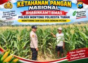 Polsek Montong Polresta Tuban Turun Cek Tanaman jagung Warga di Desa Ngulahan