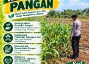 Polri Dukung Astacita, Polsek Merakurak Polres Tuban Turun Cek Tanaman Jagung Warga di Desa Tuwiri Wetan