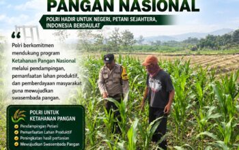 BHABINKAMTIBMAS DESA KUMPULREJO POLSEK PARENGAN POLRESTA TUBAN SAMBANG PETANI JAGUNG UNTUK MENDUKUNG KETAHANAN PANGAN DAN ASTACITA PRESIDEN RI