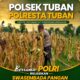 Polsek Tuban Pantau Tanaman Jagung Menjelang Panen, Dukung Ketahanan Pangan Nasional