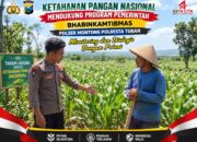 Polsek Montong Polresta Tuban Turun Cek Tanaman jagung Warga di Desa Ngulahan