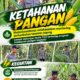 Mendukung Program Ketahanan Pangan, Bhabinkamtibmas Monitoring Pertumbuhan Jagung