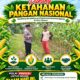 “DUKUNG PROGRAM KETAHANAN PANGAN, BHABINKAMTIBMAS PANTAU PERTUMBUHAN JAGUNG DI DESA BINAAN”