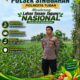 Anggota Polsek Singgahan Polresta Tuban Turun Cek Tanaman jagung Warga di Desa Mulyorejo