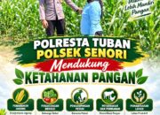 Dukung Program Asta Cita Presiden, Anggota Bhabinkamtibmas Polsek Senori Polresta Tuban Lakukan Pemantauan Tanaman Jagung Warga Desa Wanglukulon