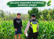 Polsek Soko Polresta Tuban Turun Langsung Cek Tanaman Jagung Warga