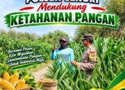 Mendukung Asta Cita Presiden Polisi RW Polsek Senori Polresta Tuban Pantau Kodisi Tanaman Jagung Milik Warga Desa Medalem