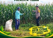 “BHABINKAMTIBMAS DESA SUMBERARUM PANTAU PERTUMBUHAN TANAMAN JAGUNG DI DESA BINAAN”