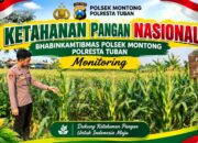Polsek Montong Polresta Tuban Turun Cek Tanaman jagung Warga di Desa Pakel