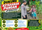 Dukung Astacita, Polsek Palang Polresta Tuban Pantau Langsung Lahan Jagung milik warga Desa Sumurgung