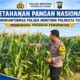 Polsek Montong Polresta Tuban Turun Cek Tanaman jagung Warga di Desa Pucangan