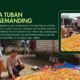 Polri Dukung Astacita, Polsek Semanding Polresta Tuban Turun Cek Tanaman jagung milik Warga di Desa Semanding