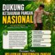 Anggota Polsek Singgahan Polresta Tuban Turun Cek Tanaman jagung Warga di Desa Mulyorejo