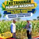 Dukung Astacita, Polmas Polsek Kenduruan Polresta Tuban Cek Perkembangan Tanaman Jagung Warga