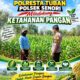 Anggota Bhabinkamtibmas Polsek Senori Polresta Tuban Lakukan Pemantauan Tanaman Jagung Dukung Program Ketahanan Pangan