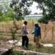 Polri Dukung Astacita, Polsek Merakurak Polres Tuban Turun Cek Tanaman Jagung Warga di Desa Tuwiri Wetan