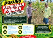 Dukung Astacita, Polsek Palang Polresta Tuban Pantau Langsung Lahan Jagung milik warga Desa Dawung