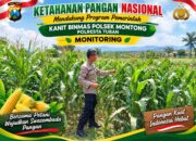 Polsek Montong Polresta Tuban Turun Cek Tanaman jagung Warga di Desa Pucangan