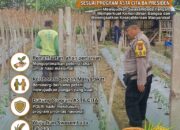 Polsek Grabagan Polresta Tuban Turun Langsung Cek Tanaman Jagung Warga