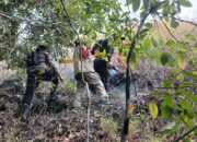 Mencegah Terjadinya Karhutla dan Perburuan Liar, Polsek Sanggar Gelar Patroli Gabungan Bersama Balai TN Tambora