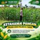 Polsek Soko Polresta Tuban Turun Langsung Cek Tanaman Jagung Warga