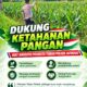 Dukung Astacita Swasembada Pangan, Polsek Jatirogo Pantau Lahan Jagung di Desa Jombok