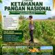 BHABINKAMTIBMAS POLSEK KEREK PANTAU PERTUMBUHAN JAGUNG, WUJUD DUKUNGAN KETAHANAN PANGAN NASIONAL