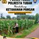 Polsek Tuban Pantau Lahan Jagung, Dukung Ketahanan Pangan Nasional