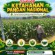 Polsek Bangilan Dukung Ketahanan Pangan Nasional, Pantau Tanaman Jagung Warga