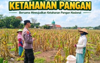 Anggota Bhabinkamtibmas Polsek Senori Polresta Tuban Lakukan Pemantauan Tanaman Jagung Warga Desa Leran Dukung Program Ketahanan Pangan