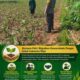 “HADIR BERSAMA PETANI, ANGGOTA POLSEK KEREK DUKUNG PROGRAM KETAHANAN PANGAN NASIONAL”