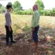Dukung Asta Cita Presiden, Polsek Tambakboyo Dampingi Petani di Sawah Wujudkan Ketahanan Pangan