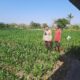 Dukung Program Asta Cita Ketahanan Pangan, Bhabinkamtibmas Desa Kukin Sambangi Petani Jagung dan Dorong Penanaman Hortikultura