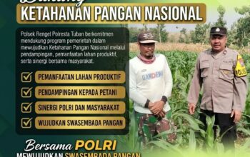 Polri Dukung Astacita, Polsek Rengel Polresta Tuban Turun Cek Tanaman Jagung Warga di Desa Sawahan