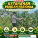 Dukung Ketahanan Pangan Nasional, Polsek Bangilan Monitoring Tanaman Jagung Warga
