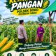 Polri Dukung Astacita, Polsek Merakurak Polres Tuban Turun Cek Tanaman Jagung Warga di Desa Tuwiri Wetan