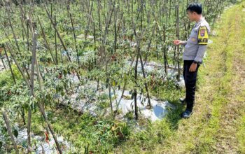 Bhabinkamtibmas Desa Kumbang Monitoring Ketahanan Pangan, Ajak Masyarakat Jaga Kamtibmas