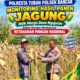 Perkuat Ketahanan Pangan Nasional, Aipda Mariyono Bersama Warga Ngujuran Panen Jagung Raya