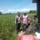 Dukung Ketahanan Pangan Nasional, Bhabinkamtibmas Desa Poto Sambangi Lahan Pertanian Warga