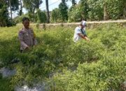 Patroli Wisata dan Sambang Warga, Upaya Preventif Polsek Madapangga Jaga Kondusifitas Kamtibmas