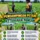 Polsek Parengan Polresta Tuban Turun Langsung Cek Tanaman Jagung Warga