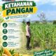 Dukung Program Ketahanan Pangan, Polsek Bangilan Monitoring Pertumbuhan Tanaman Jagung