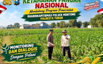Mendukung Asta Cita Presiden bhabinkamtibmas Polsek Montong Polresta Tuban Pantau Kodisi Tanaman Jagung Milik Warga Desa pakel