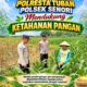 Unit Binmas Polsek Senori Polresta Tuban Memantau Tanaman Jagung Milik Warga Desa Jatisari Kecamatan Senori Guna Mendukung Program Ketahanan Pangan