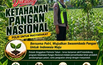 Anggota Polsek Singgahan Polresta Tuban Turun Cek Tanaman jagung Warga di Desa Tingkis