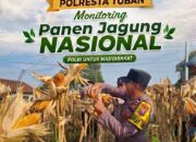 Dukung Ketahanan Pangan Nasional, Bripda Dodi Eko Lakukan Pendampingan Panen Jagung Warga di Desa Sukoharjo
